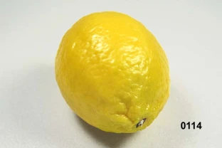 Zitrone klein