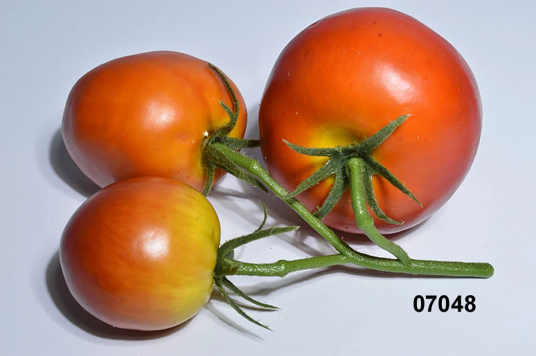Produkt - Tomaten an der Rispe