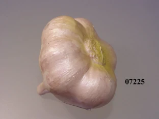 Knoblauch