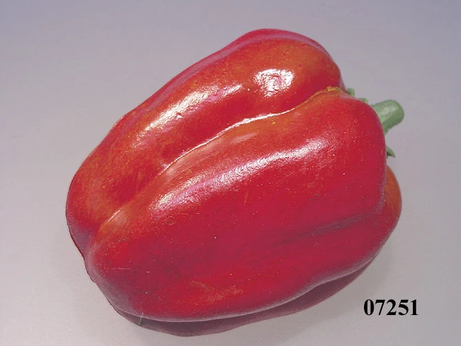 Produkt - Paprika rot