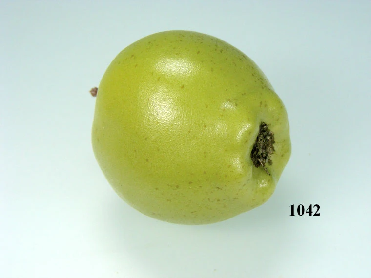 Produkt - grüner Apfel klein