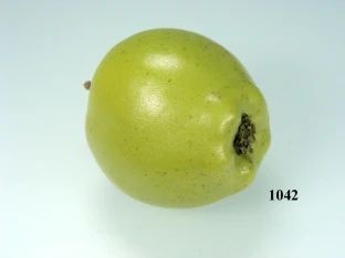 grüner Apfel klein