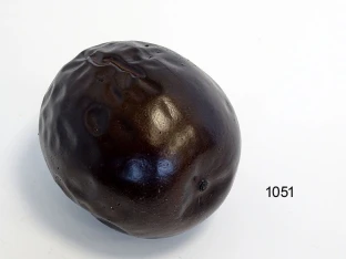 Maracuja 1/1