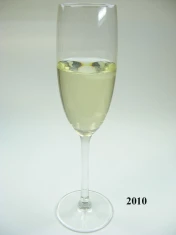 Sekt (echtes Glas)