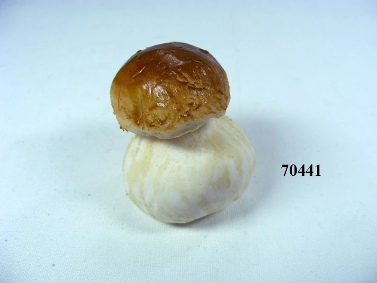 Produkt - Steinpilz Gr.1
