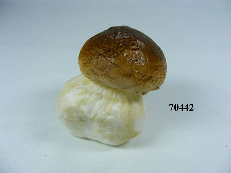 Produkt - Steinpilz Gr.2