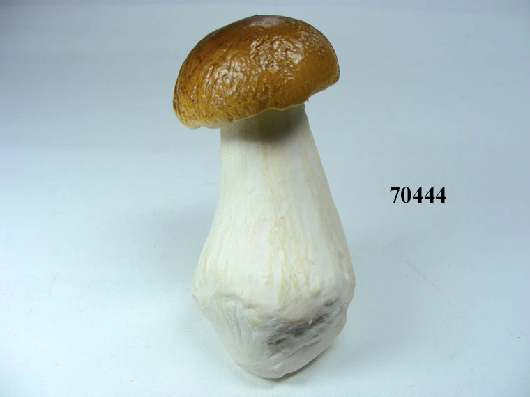 Produkt - Steinpilz Gr.4