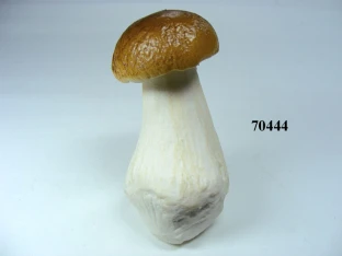 Steinpilz Gr.4