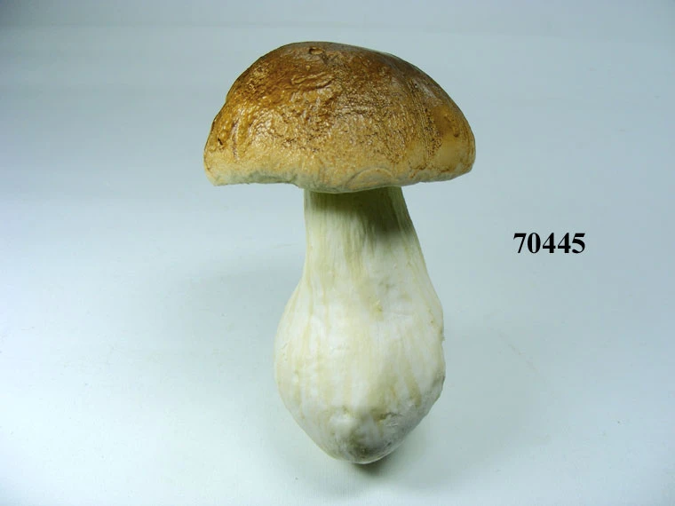Produkt - Steinpilz Gr.5