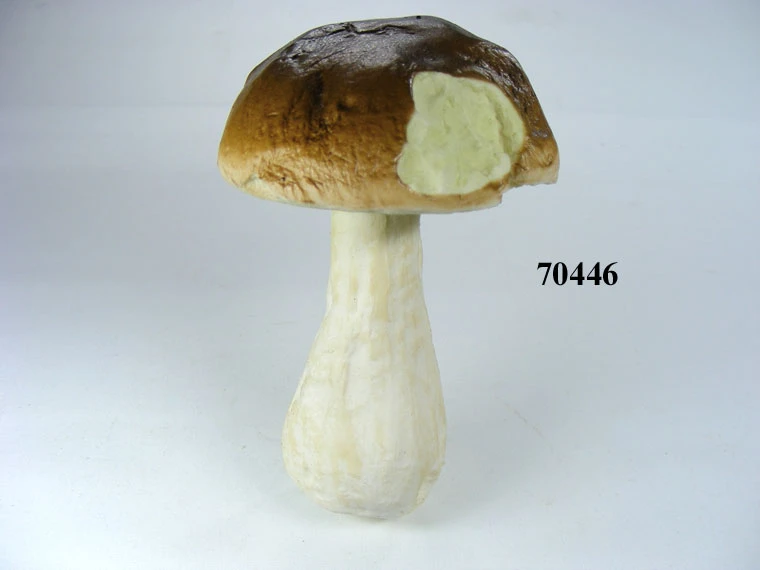 Produkt - Steinpilz Gr.6