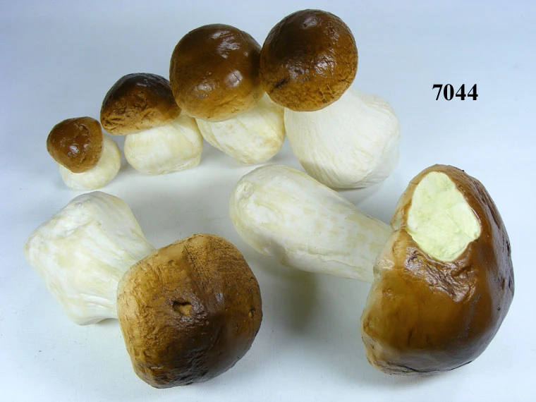 Produkt - Steinpilz-Sortiment