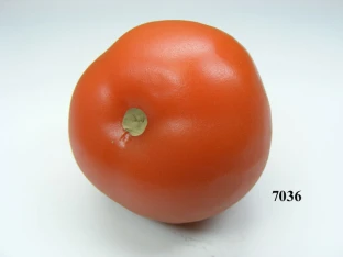 Strauch-Tomate