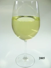 Weißwein-Glas langstielig (echtes Glas)