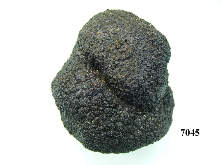 Produkt - Trüffelpilz schwarz groß
