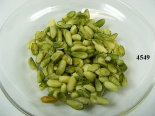 Pistazien (50 gr.) Lebensmittelattrappen