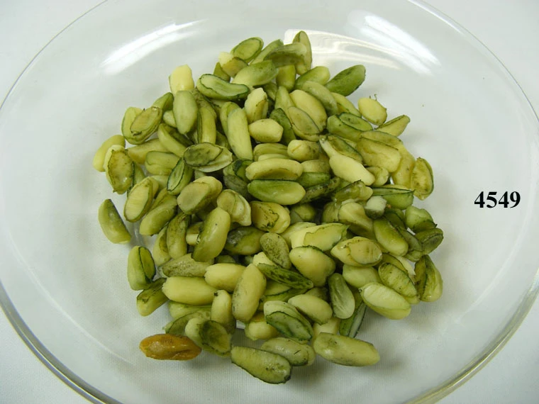 Produkt - Pistazien (50 gr.) Lebensmittelattrappen