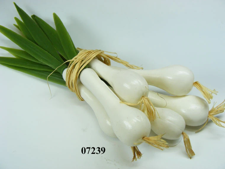 Produkt - Frühlingszwiebel-Bund