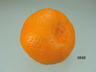 Clementine Lebensmittelattrappe