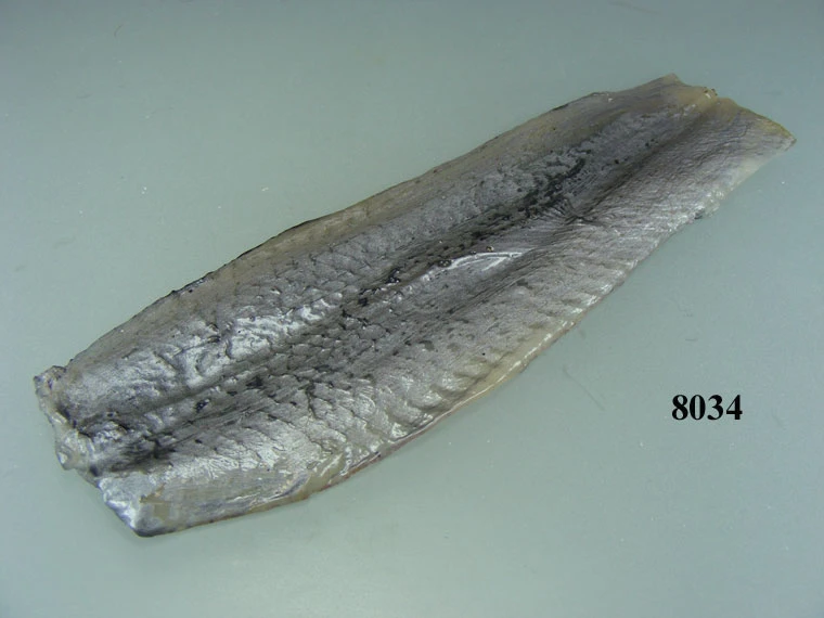 Produkt - Matjes-Filet