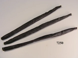 Vanilleschoten (3 Stück) Lebensmittelattrappe