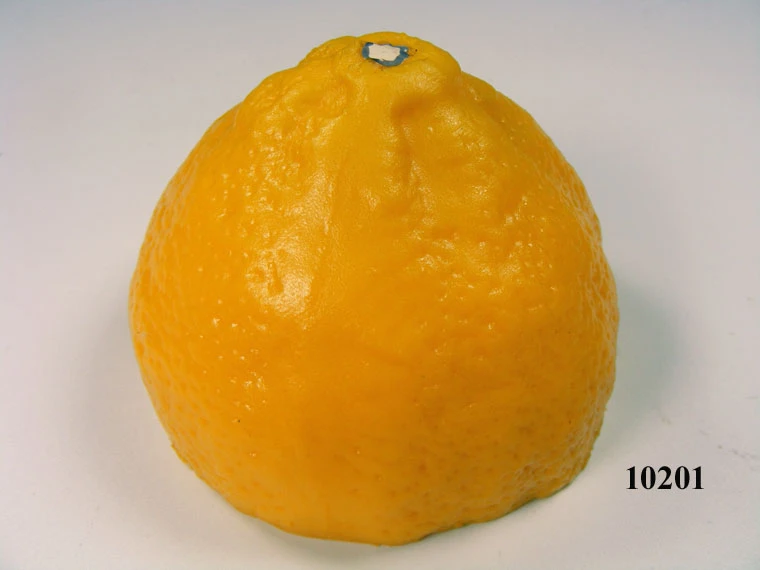 Produkt - Zitrone 1/2 Lebensmittelattrappe