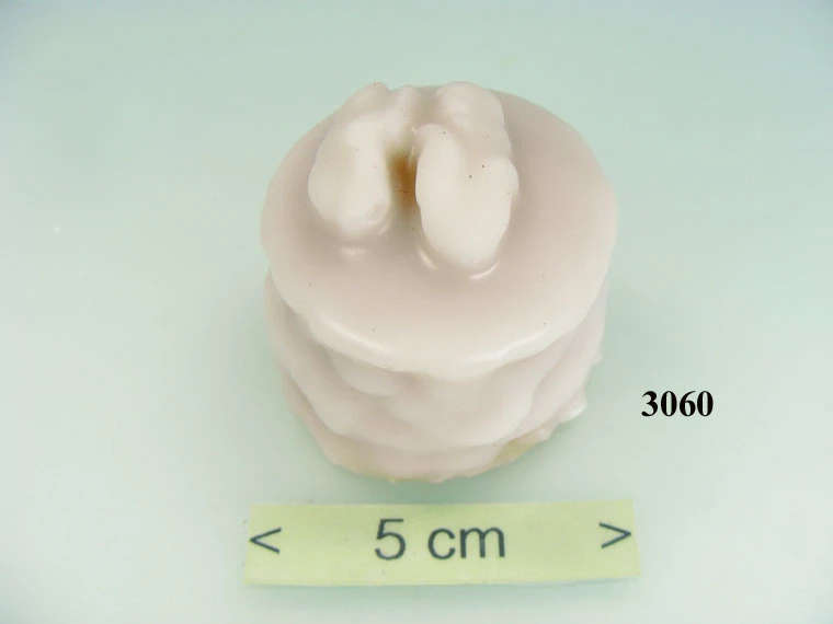 Produkt - Petite four Walnuss