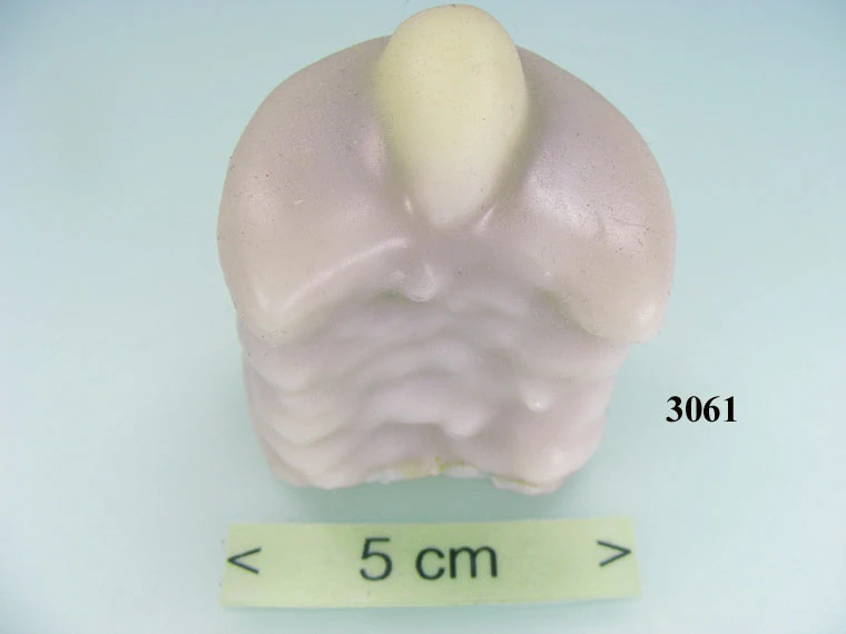 Produkt - Petite four Mandel