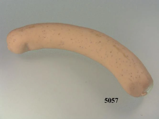 Produkt - Bratwurst roh groß Lebensmittelattrappe