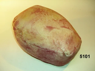 Lebensmittelattrappe Schinken ganz gekocht