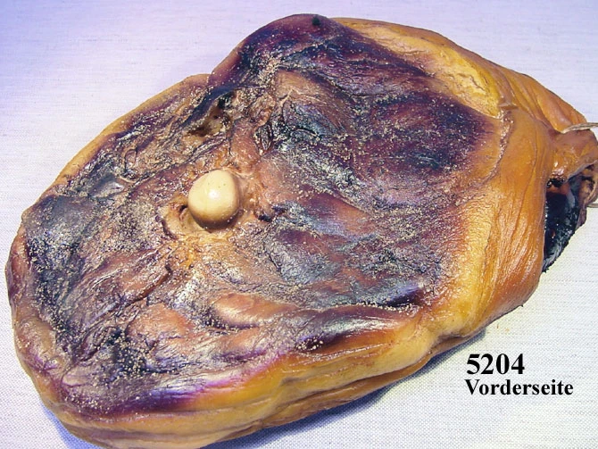 Produkt - Beinschinken Lebensmittelattrappe