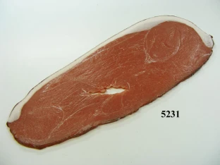 Lebensmittelattrappe Knochenschinken-Scheibe
