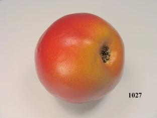Jonathan-Apfel klein