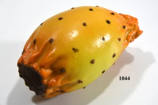 Kaktusfeige gelb