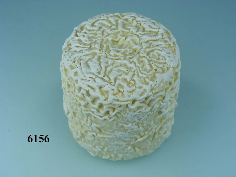 Produkt - Ziegenkäse natur