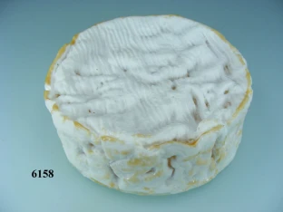 Camembert Normandie