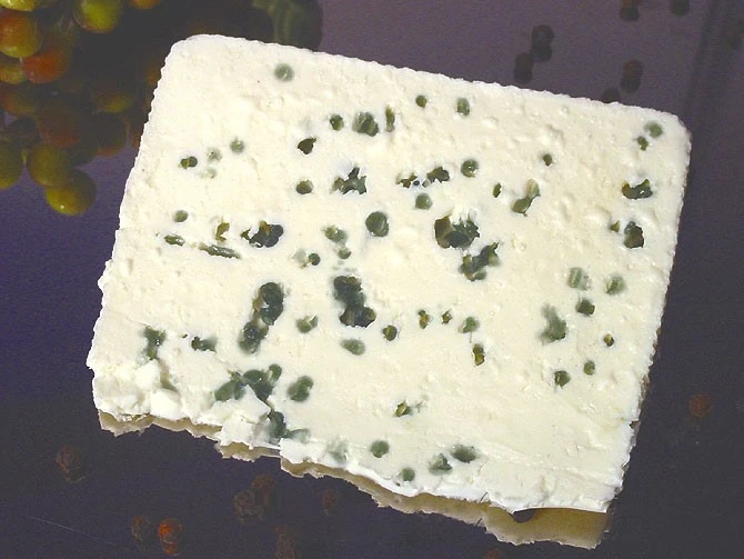 Produkt - Edelpilz-Scheibe (keilförmig)