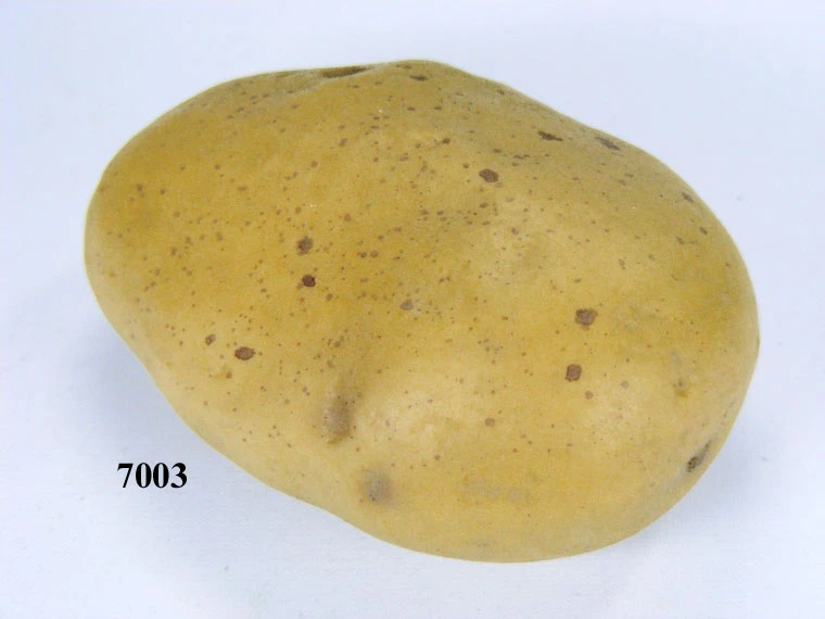 Produkt - Feldkartoffel