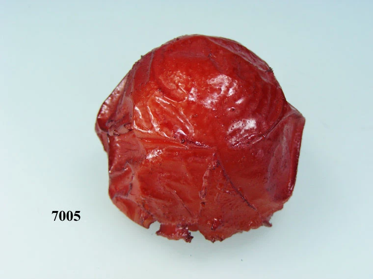 Produkt - Grill-Tomate