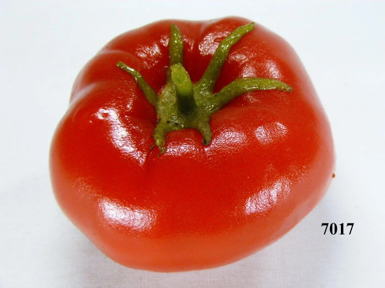 Produkt - Tomate