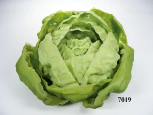 Kopfsalat