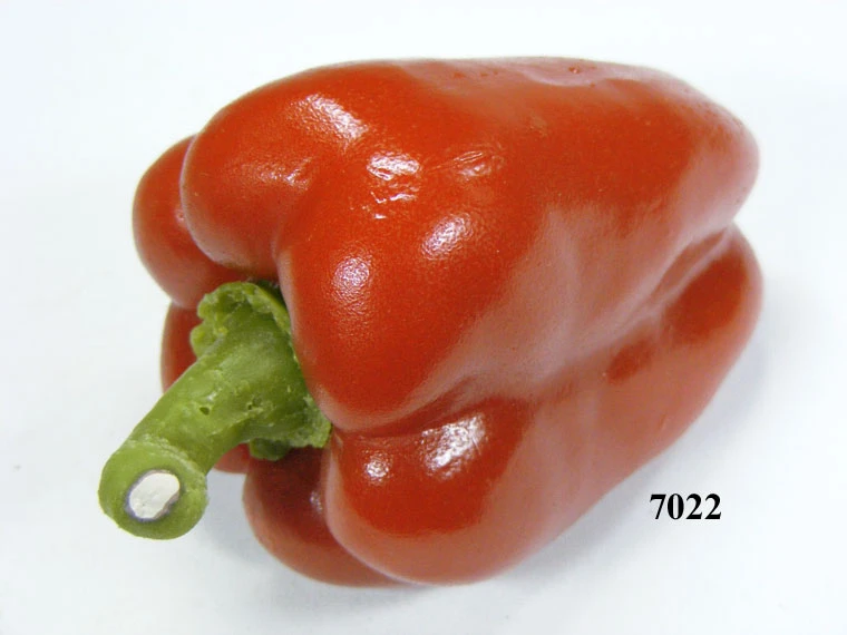 Produkt - Paprika rot