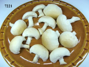 Champignon 1/2 Stücke
