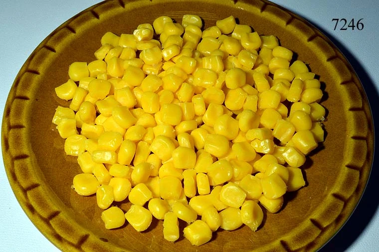 Produkt - Mais-Körner (100 gr.) einzeln o. Teller