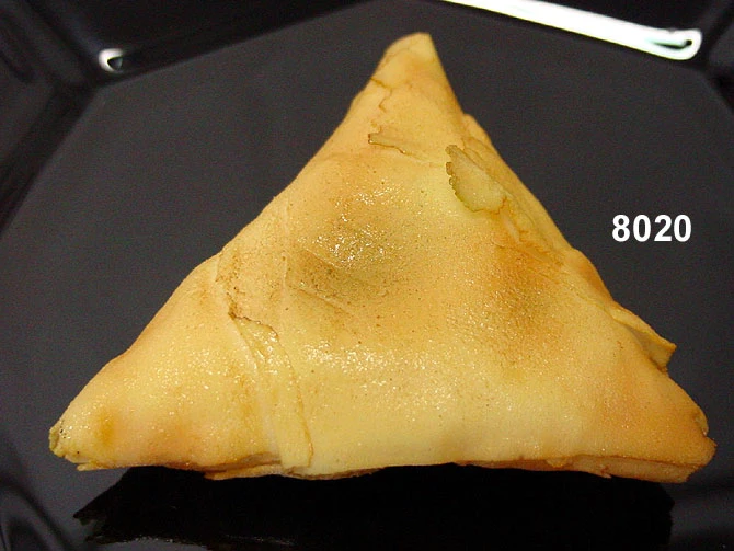 Produkt - Vegetar Samosa gegart gross