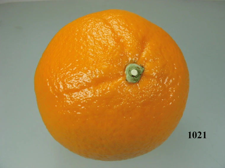 Produkt - Lebensmittelattrappe Orange