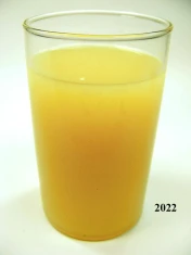 Orangensaft (echtes Glas)