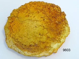 Sellerie-Schnitzel Lebensmittelattrappe
