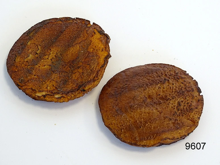Produkt - Gegrillte Portobello-Pilze (2 St.) Lebensmittelattrappe
