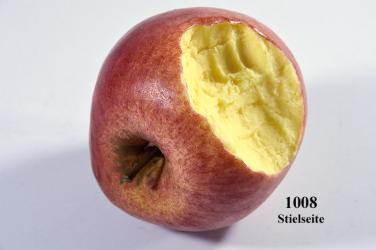roter Apfel angebissen 