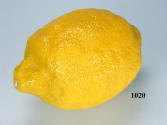 Zitrone Lebensmittelattrappe 